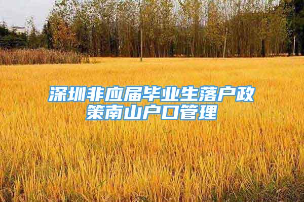 深圳非应届毕业生落户政策南山户口管理