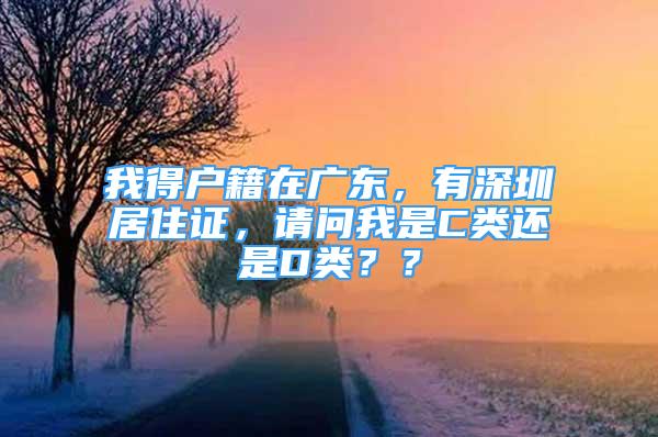 我得户籍在广东，有深圳居住证，请问我是C类还是D类？？