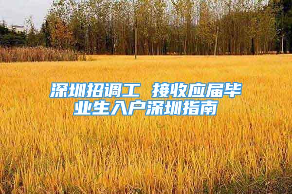 深圳招调工 接收应届毕业生入户深圳指南