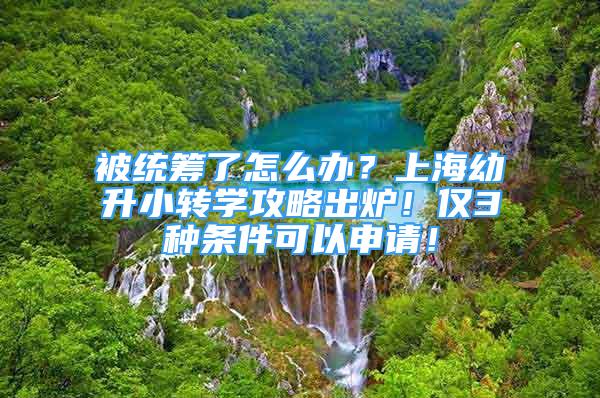 被统筹了怎么办？上海幼升小转学攻略出炉！仅3种条件可以申请！