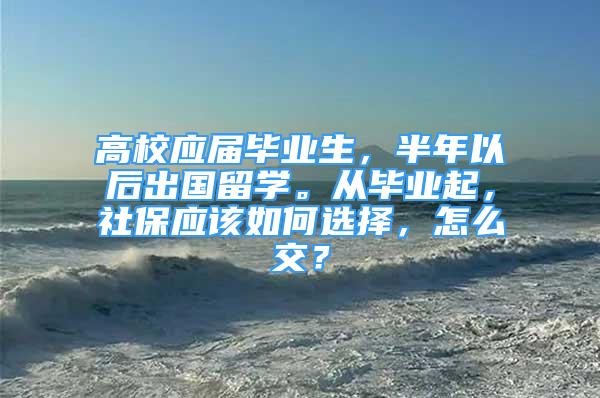 高校应届毕业生，半年以后出国留学。从毕业起，社保应该如何选择，怎么交？