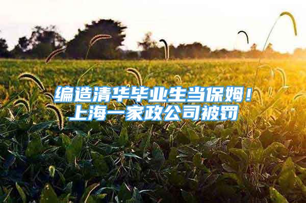 编造清华毕业生当保姆！上海一家政公司被罚