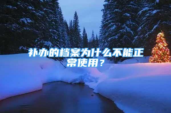 补办的档案为什么不能正常使用？