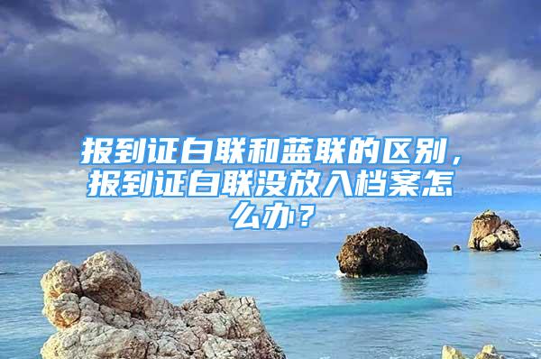 报到证白联和蓝联的区别，报到证白联没放入档案怎么办？