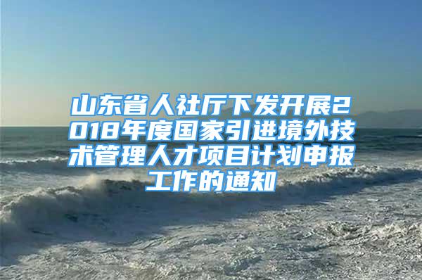 山东省人社厅下发开展2018年度国家引进境外技术管理人才项目计划申报工作的通知