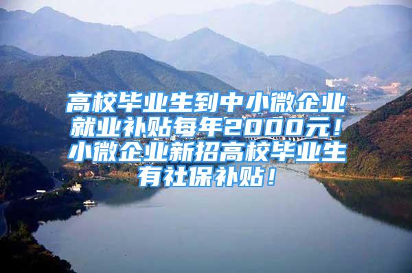 高校毕业生到中小微企业就业补贴每年2000元！小微企业新招高校毕业生有社保补贴！