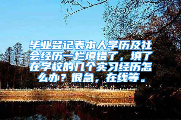 毕业登记表本人学历及社会经历一栏填错了，填了在学校的几个实习经历怎么办？很急，在线等。