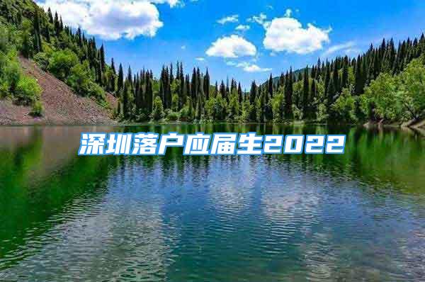 深圳落户应届生2022