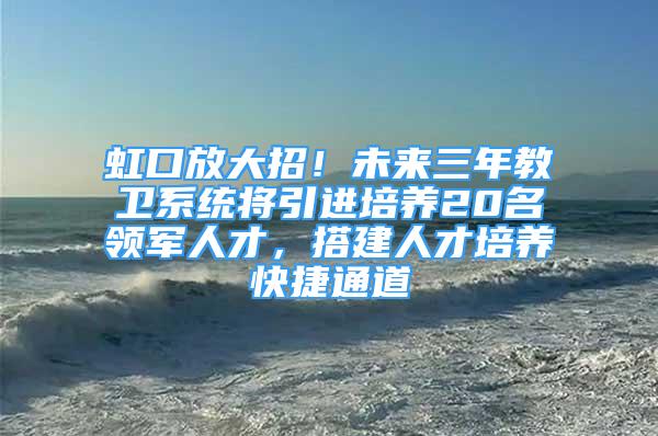 虹口放大招！未来三年教卫系统将引进培养20名领军人才，搭建人才培养快捷通道