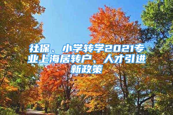 社保、小学转学2021专业上海居转户、人才引进新政策