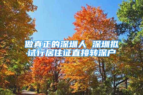 做真正的深圳人 深圳拟试行居住证直接转深户