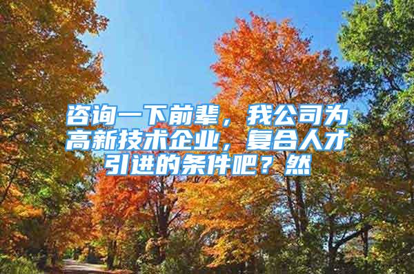 咨询一下前辈，我公司为高新技术企业，复合人才引进的条件吧？然