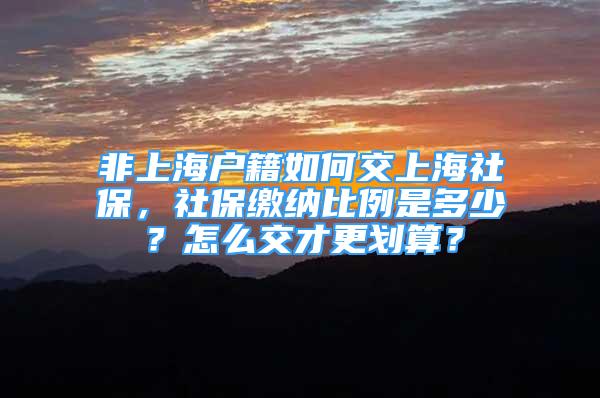 非上海户籍如何交上海社保，社保缴纳比例是多少？怎么交才更划算？