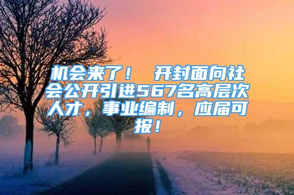 机会来了！ 开封面向社会公开引进567名高层次人才，事业编制，应届可报！