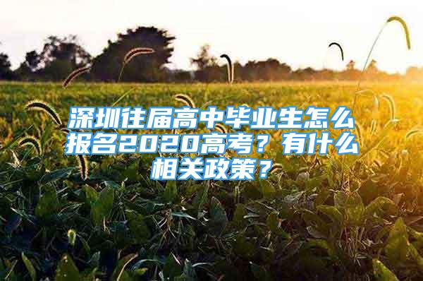 深圳往届高中毕业生怎么报名2020高考？有什么相关政策？