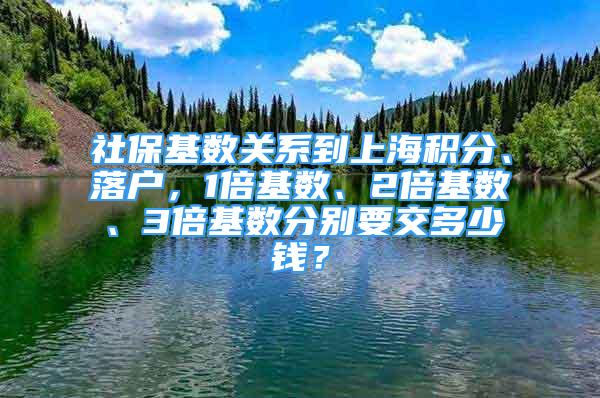 社保基数关系到上海积分、落户，1倍基数、2倍基数、3倍基数分别要交多少钱？