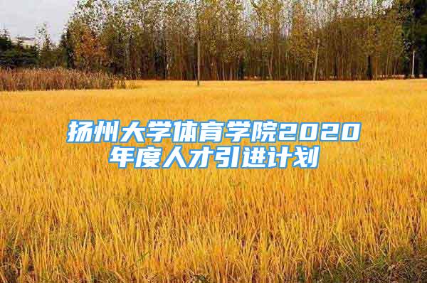 扬州大学体育学院2020年度人才引进计划