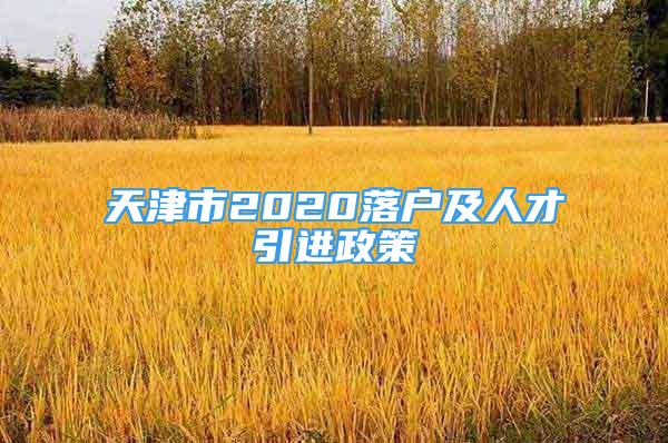 天津市2020落户及人才引进政策