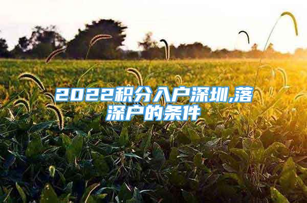 2022积分入户深圳,落深户的条件