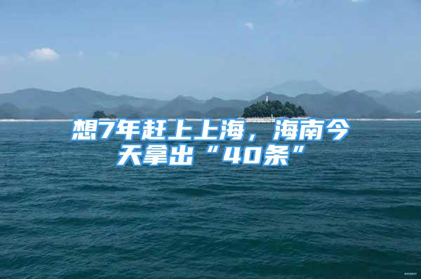 想7年赶上上海，海南今天拿出“40条”