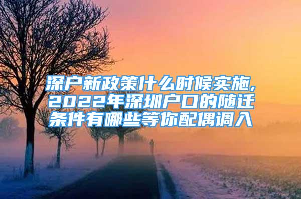 深户新政策什么时候实施,2022年深圳户口的随迁条件有哪些等你配偶调入