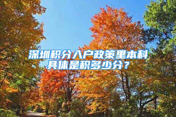 深圳积分入户政策里本科具体是积多少分？