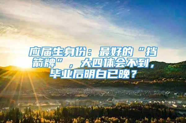 应届生身份：最好的“挡箭牌”，大四体会不到，毕业后明白已晚？