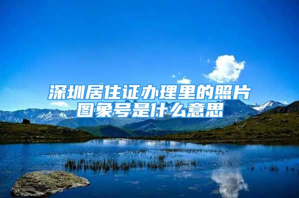 深圳居住证办理里的照片图象号是什么意思