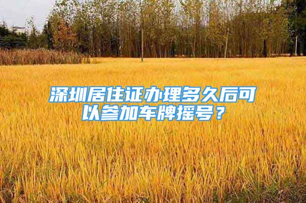 深圳居住证办理多久后可以参加车牌摇号？