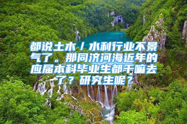 都说土木／水利行业不景气了。那同济河海近年的应届本科毕业生都干嘛去了？研究生呢？