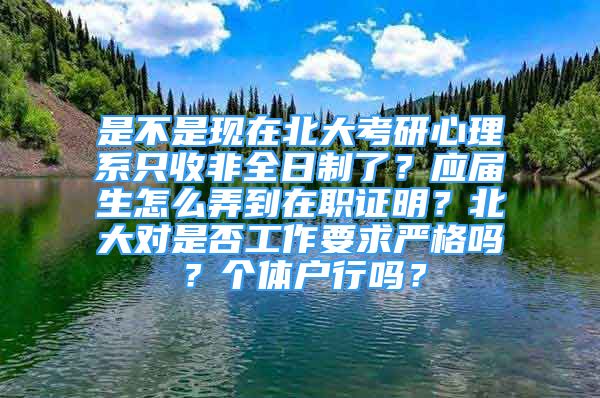 是不是现在北大考研心理系只收非全日制了？应届生怎么弄到在职证明？北大对是否工作要求严格吗？个体户行吗？