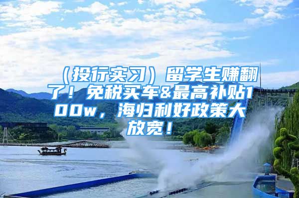 （投行实习）留学生赚翻了！免税买车&最高补贴100w，海归利好政策大放宽！