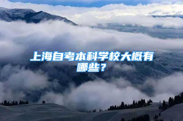 上海自考本科学校大概有哪些？