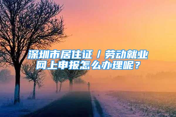 深圳市居住证／劳动就业网上申报怎么办理呢？