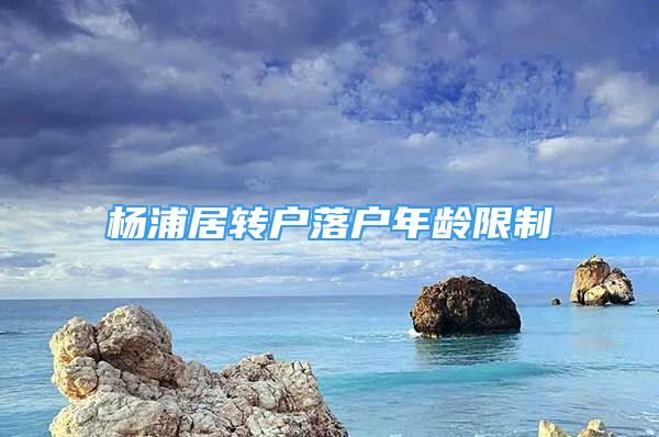 杨浦居转户落户年龄限制