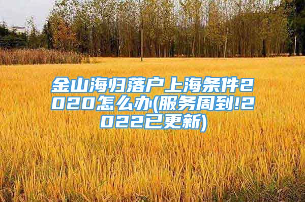 金山海归落户上海条件2020怎么办(服务周到!2022已更新)