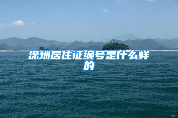 深圳居住证编号是什么样的