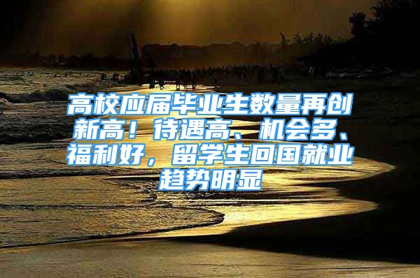 高校应届毕业生数量再创新高！待遇高、机会多、福利好，留学生回国就业趋势明显