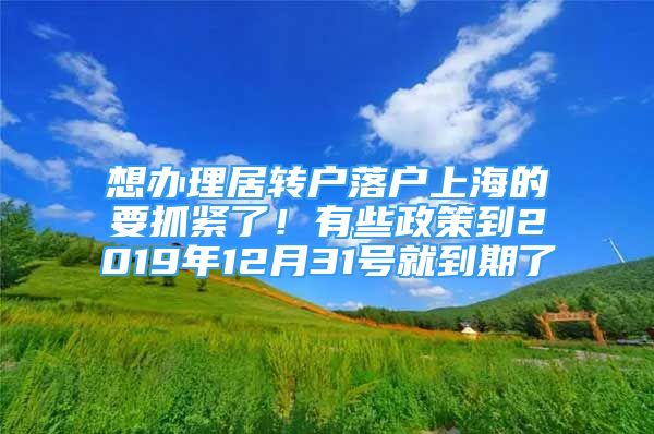 想办理居转户落户上海的要抓紧了！有些政策到2019年12月31号就到期了