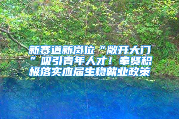 新赛道新岗位“敞开大门”吸引青年人才！奉贤积极落实应届生稳就业政策