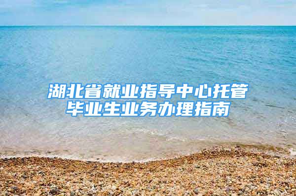 湖北省就业指导中心托管毕业生业务办理指南