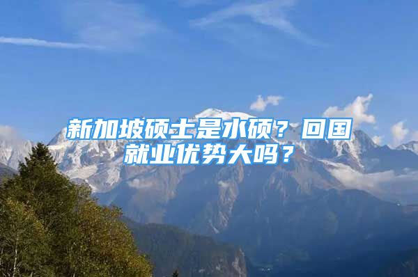 新加坡硕士是水硕？回国就业优势大吗？