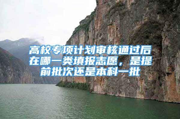 高校专项计划审核通过后在哪一类填报志愿，是提前批次还是本科一批