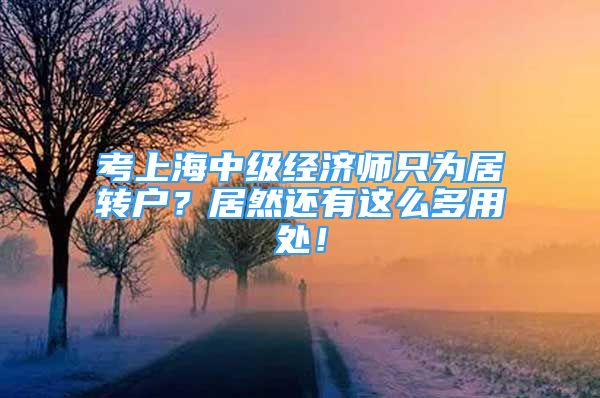 考上海中级经济师只为居转户？居然还有这么多用处！