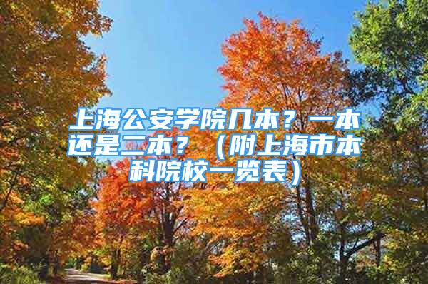 上海公安学院几本？一本还是二本？（附上海市本科院校一览表）