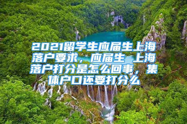 2021留学生应届生上海落户要求，应届生 上海落户打分是怎么回事，集体户口还要打分么