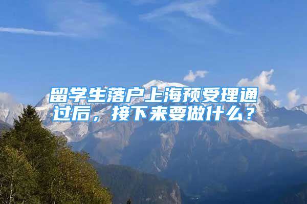 留学生落户上海预受理通过后，接下来要做什么？