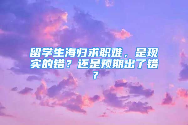 留学生海归求职难，是现实的错？还是预期出了错？