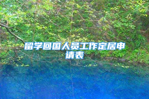 留学回国人员工作定居申请表