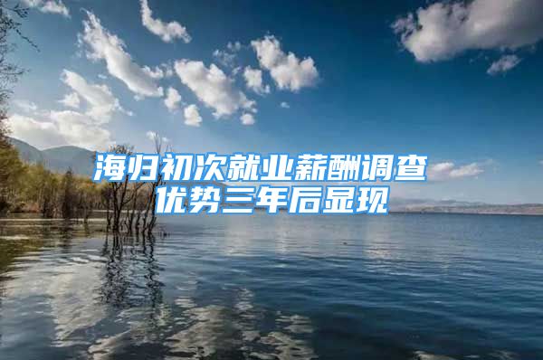 海归初次就业薪酬调查 优势三年后显现